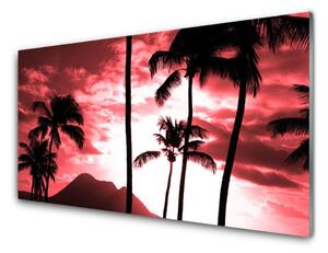 Nástenný panel  Hora palmy stromy príroda 100x50 cm