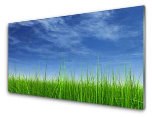 Obraz na skle Nebo tráva príroda 125x50 cm