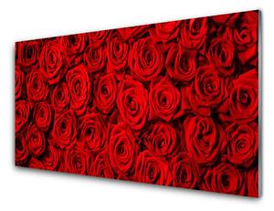 Nástenný panel  Ruže 125x50 cm