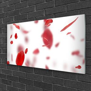 Obraz na skle Ruže plátky 120x60 cm 2 Prívesky