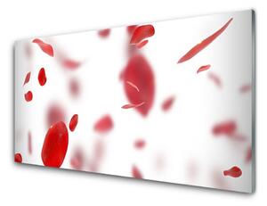 Obraz na skle Ruže plátky 125x50 cm