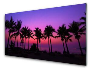 Obraz na skle Palmy stromy príroda 120x60 cm 4 Prívesky