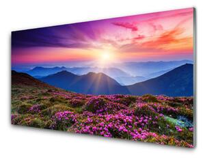 Nástenný panel  Hora lúka kvety príroda 100x50 cm