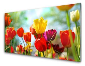 Nástenný panel  Kvet 125x50 cm