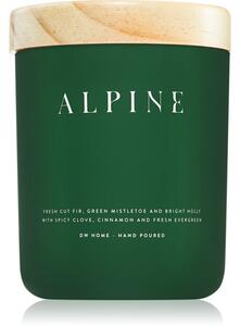 DW Home Tierra Alpine vonná sviečka 249 g