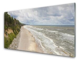 Nástenný panel  Pláž more strom príroda 100x50 cm