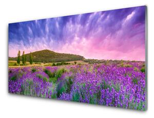 Nástenný panel  Lúka kvety hory príroda 100x50 cm