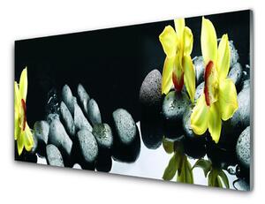 Obraz na skle Kvet kamene 125x50cm
