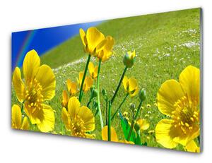 Nástenný panel  Lúka kvety dúha príroda 125x50 cm