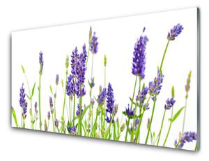 Obraz na akrylátovom skle Kvety 140x70 cm 4 Prívesky