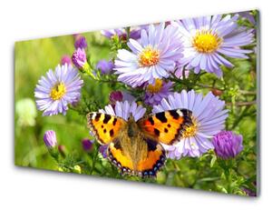 Obraz na skle Kvety motýľ príroda 125x50cm