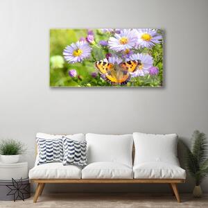 Obraz na skle Kvety motýľ príroda 125x50 cm
