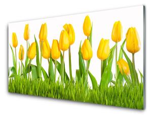 Obraz na skle Tulipány 100x50 cm 4 Prívesky