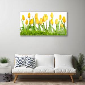 Obraz na skle Tulipány 125x50 cm