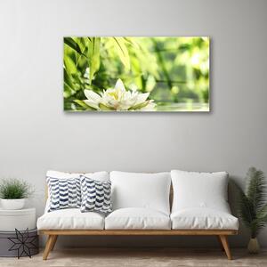 Obraz na skle Kvet listy 100x50 cm