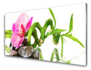 Obraz na akrylátovom skle Kvet rastlina príroda 140x70 cm 2 Prívesky