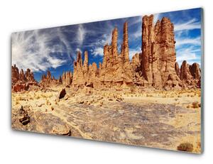 Nástenný panel  Púšť krajina 100x50 cm