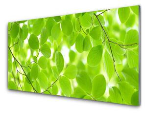 Nástenný panel  Listy príroda 100x50 cm