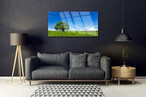 Obraz na skle Tráva strom príroda 125x50 cm