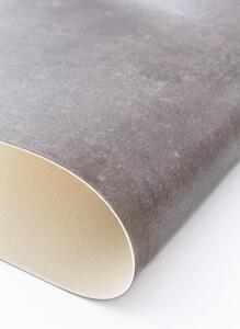 PVC podlaha Lentex Pionieer 60404