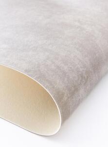 PVC podlaha Lentex Pionieer 60403