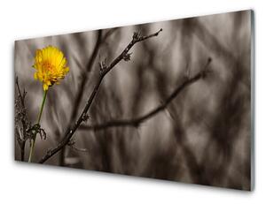 Obraz na akrylátovom skle Vetva kvet 120x60 cm 2 Prívesky