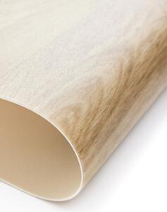 PVC podlaha Lentex Pionieer 59117
