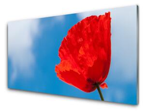 Nástenný panel  Tulipán 100x50 cm