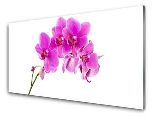 Skleneny obraz Vstavač kvet orchidea 120x60 cm 4 Prívesky
