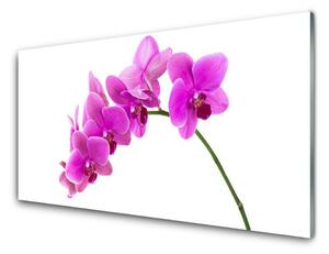Sklenený obklad Do kuchyne Vstavač kvet orchidea 125x50 cm