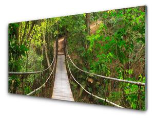 Sklenený obklad Do kuchyne Most džungľa tropický les 100x50 cm