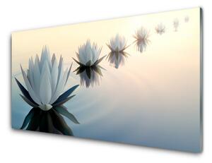 Skleneny obraz Vodné lilie biely lekno 125x50 cm