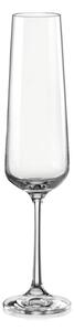 Bohemia Crystal Poháre na šampanské Sandra 40728/200ml (set po 6ks)