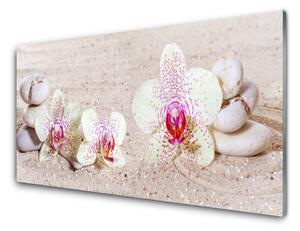 Sklenený obklad Do kuchyne Orchidea kamene zen písek 125x50 cm