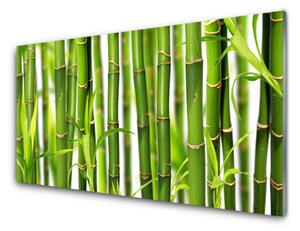 Sklenený obklad Do kuchyne Bambusové výhonky listy bambus 125x50 cm