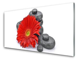 Sklenený obklad Do kuchyne Kvety gerbery kamene zen 125x50 cm
