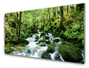 Obraz plexi Les potok vodopády rieka 140x70 cm 2 Prívesky