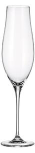 Bohemia Crystal Poháre na šampanské Limosa 200ml (set po 6ks)