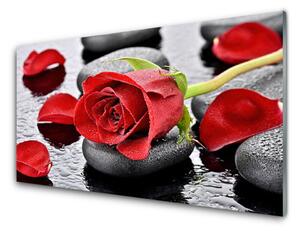 Sklenený obklad Do kuchyne Ruže kvet kamene zen 100x50 cm