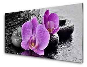 Skleneny obraz Orchidea kvety kamene zen 140x70 cm 4 Prívesky