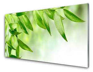 Sklenený obklad Do kuchyne Zelené listy príroda 125x50 cm