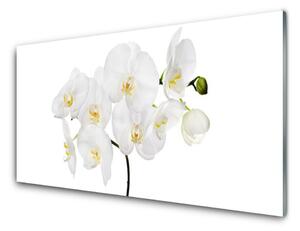 Skleneny obraz Biela orchidea kvety 100x50 cm