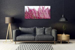 Skleneny obraz Kvety lúka príroda 100x50 cm