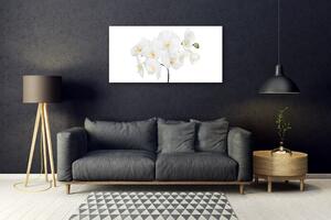 Skleneny obraz Biela orchidea kvety 100x50 cm