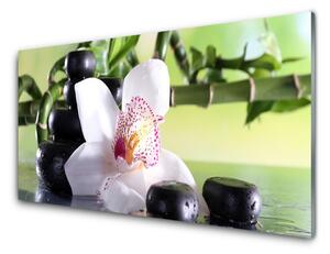 Sklenený obklad Do kuchyne Orchidea kamene bambus 125x50 cm