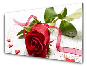 Obraz plexi Ruže kvet rastlina 140x70 cm 4 Prívesky