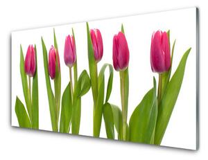 Obraz plexi Tulipány kvety rastlina 140x70 cm 2 Prívesky