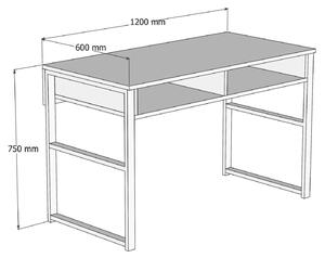 Pracovný stôl Nove 120 × 75 × 60 cm HANAH HOME