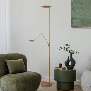 Steinhauer LED stojacia lampa osvetľujúca strop Daphne 2 +, na citanie, bronzová, Hnedá / staromosadz, Obývacia izba / jedáleň, kov, Moderný, Zemné bodové svetlo