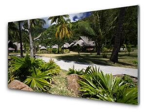 Sklenený obklad Do kuchyne Listy palmy stromy príroda 125x50 cm